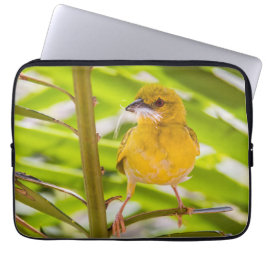 Capa Para Notebook Hora de construir o ninho