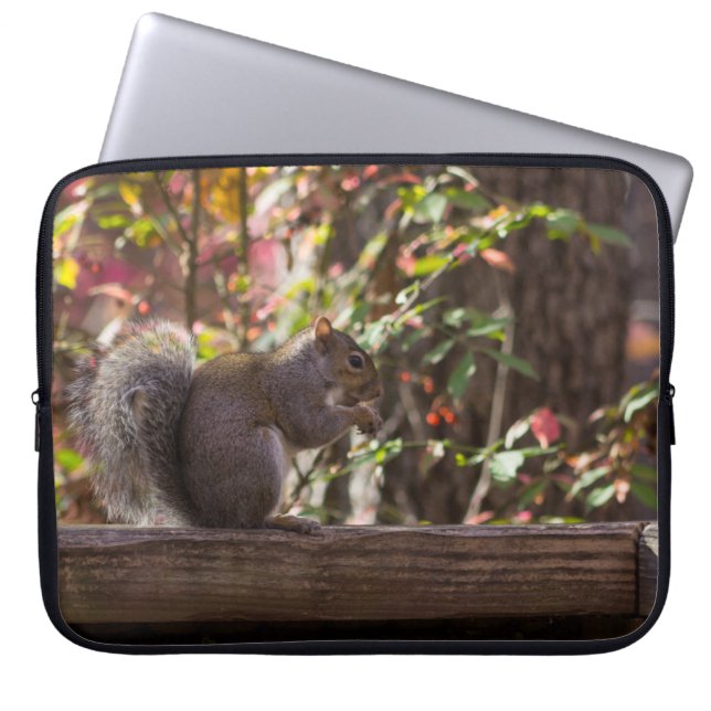 Capa Para Notebook Hora do Lanche do Esquilo (Frente)