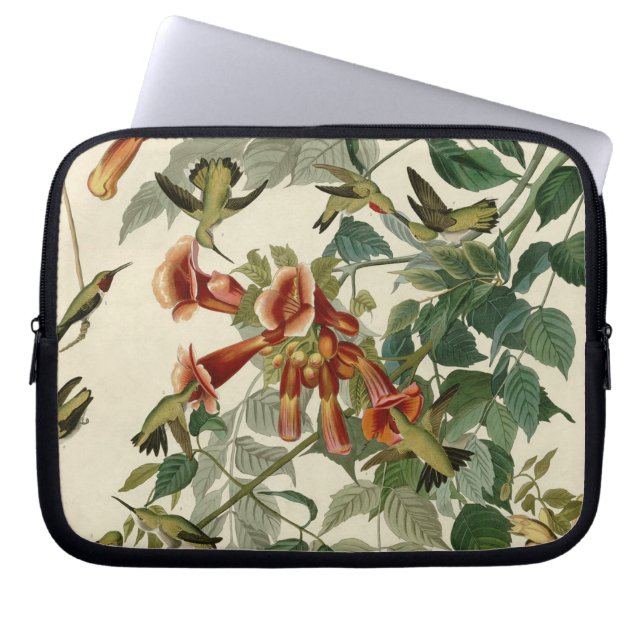 Capa Para Notebook Hummingbird Ruby Throbon Audubon (Frente)