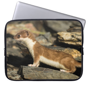 Capa Para Notebook Hunting Weasel
