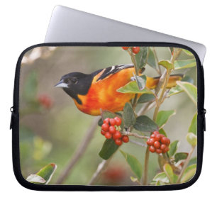 Capa Para Notebook Ilha do Padre do Sul, Texas, EUA, Baltimore Oriole
