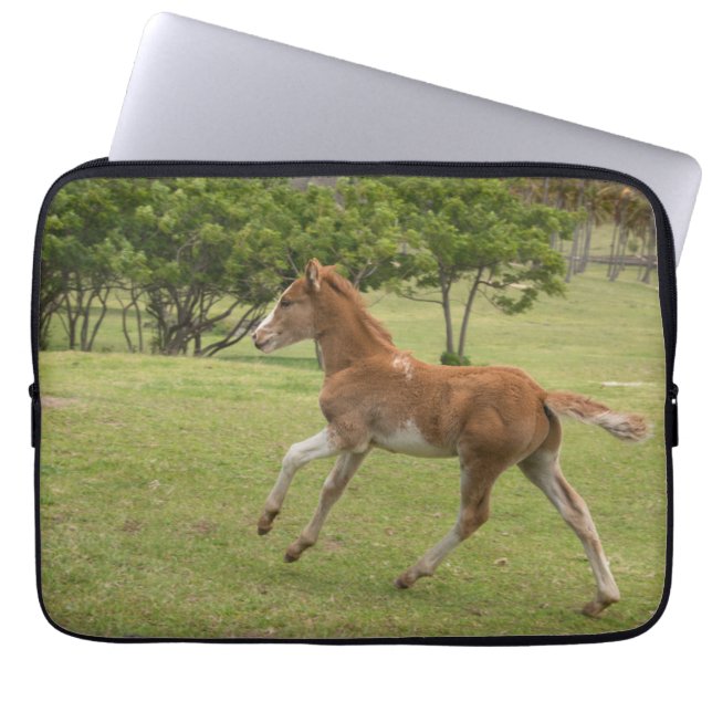 Capa Para Notebook Ilha páscoa Rapa Nui (Frente)