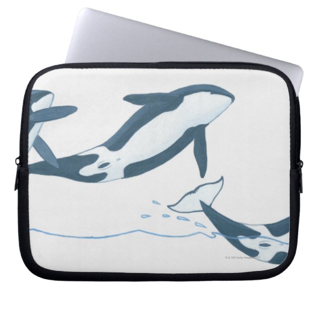 Capa Para Notebook Ilustração de Baleias Assassinas (Orcinus orca) (Frente)