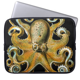 Capa Para Notebook Ilustração Vintage de Polvo Dourado