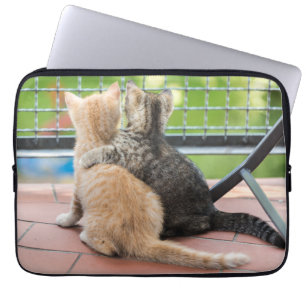 Capa Para Notebook Imagens de Getty   dois gatinhos em um balcão