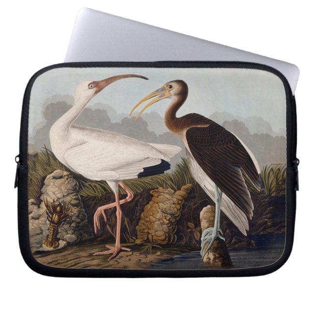Capa Para Notebook Impressão Clássica de Pássaro Íbis Branco de John  (Frente)