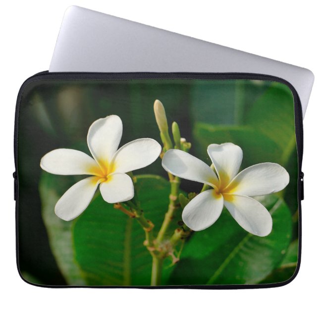 Capa Para Notebook Impressão de tela branca Frangipani (Frente)