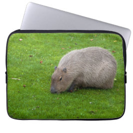 Capa Para Notebook Incrível Animal Capivara