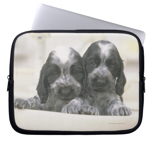 Capa Para Notebook Inglês cocker spaniel (Frente)