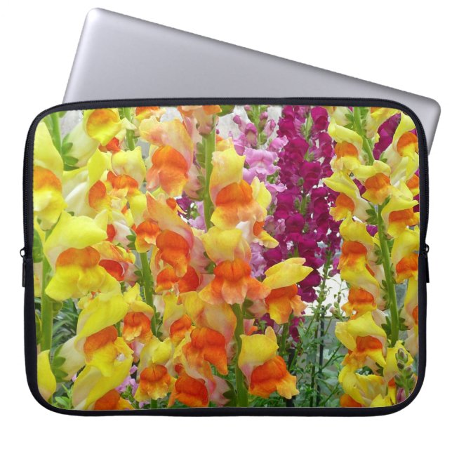 Capa Para Notebook Instantâneos corados (Frente)