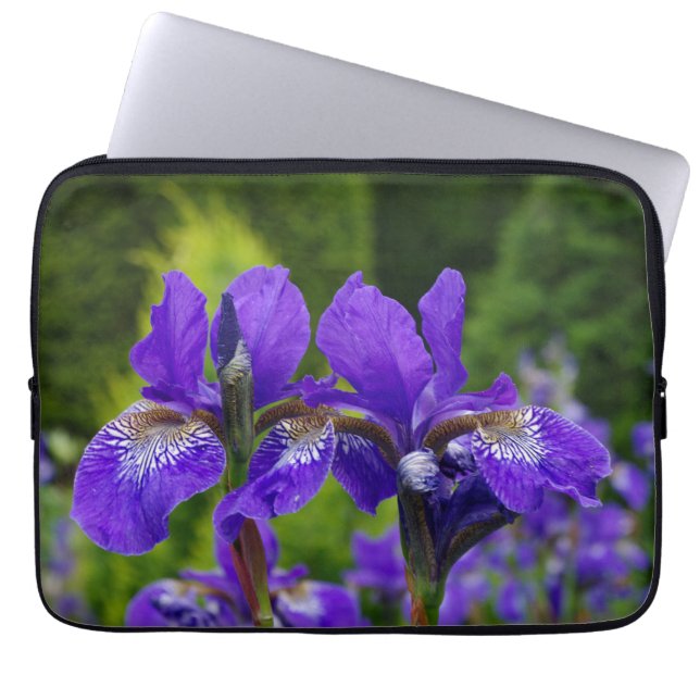 Capa Para Notebook Iris sibirica fotografia floral (Frente)