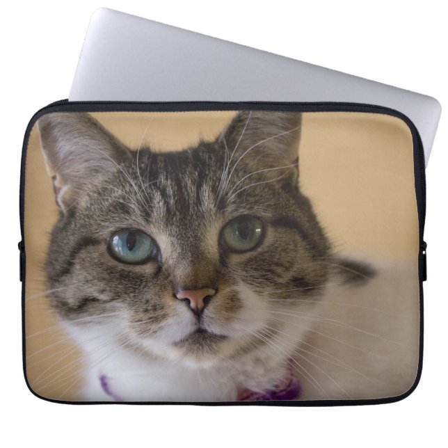 Capa Para Notebook Ivey (Frente)