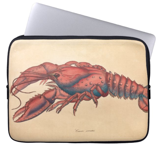Capa Para Notebook James Sowerby Sernotated Lobster (Frente)