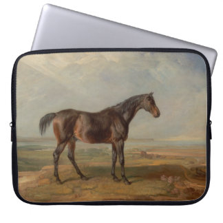 Capa Para Notebook James Ward - Dr. Syntax, um cavalo de corrida baio