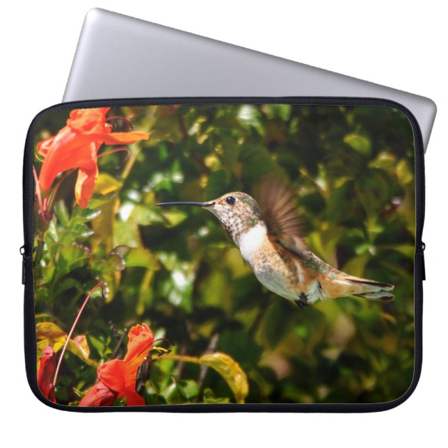 Capa Para Notebook Jóia do Jardim: Beija-flor em Flor (Frente)