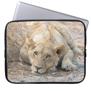 Capa Para Notebook Jovem