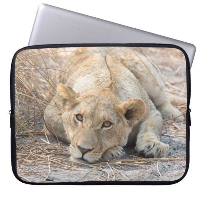 Capa Para Notebook Jovem (Frente)
