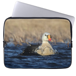 Capa Para Notebook King Eider Bird
