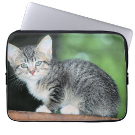 Capa Para Notebook Kitten
