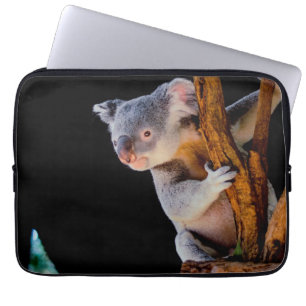 Capa Para Notebook Koala Cute em Cinza