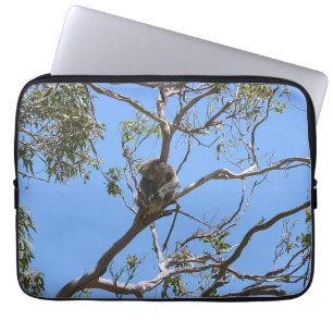 Capa Para Notebook Koala Nap