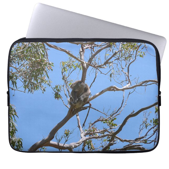 Capa Para Notebook Koala Nap (Frente)