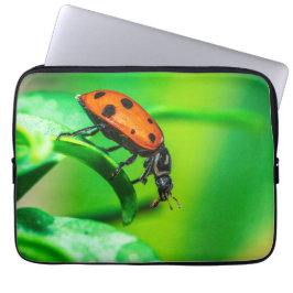 Capa Para Notebook Ladybug Leaf