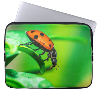 Capa Para Notebook Ladybug Macro Laptop Sleeve | Nature Tech Pouch