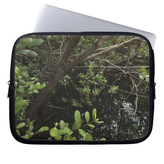 Capa Para Notebook Lagoa tropical de sal (Frente)