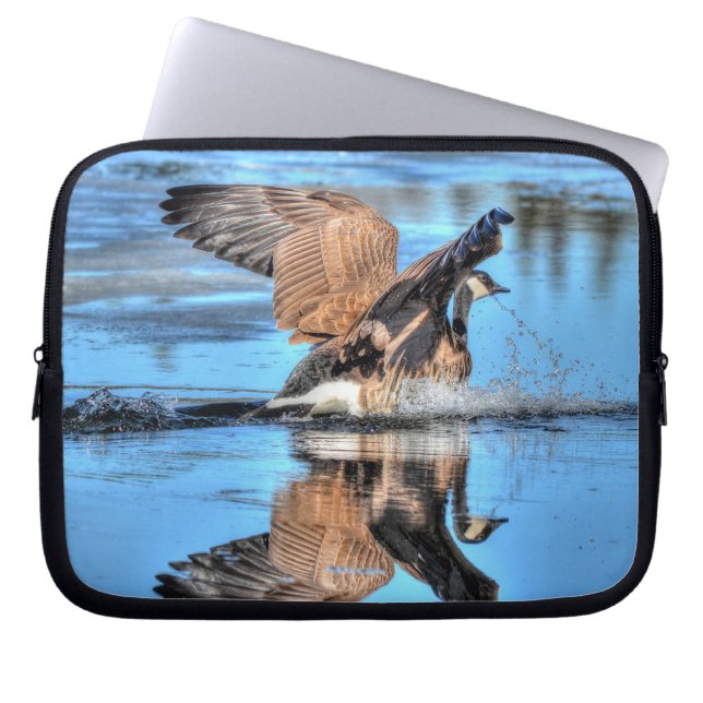 Capa Para Notebook Landing Canada Goose on Lake Wildlife Nature Scene (Frente)