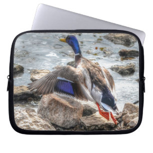 Capa Para Notebook Landing Mallard Duck Drake 10 Wildlife Foto