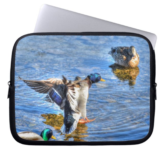 Capa Para Notebook Landing Mallard Duck Drake 13 Foto de Wildlife (Frente)