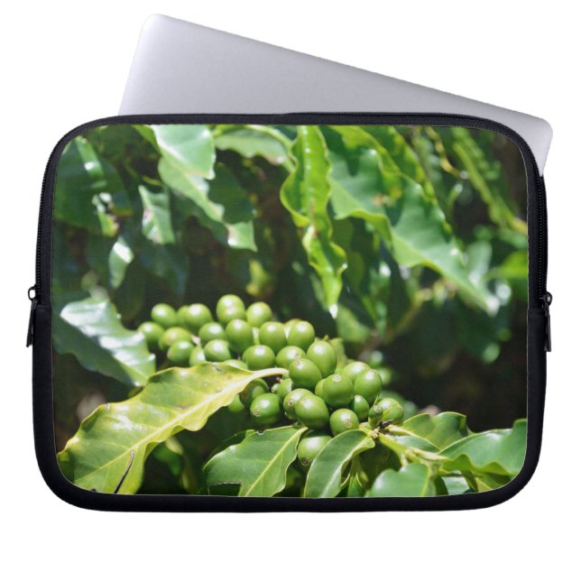Capa Para Notebook Laptop do Green Cafries (Frente)