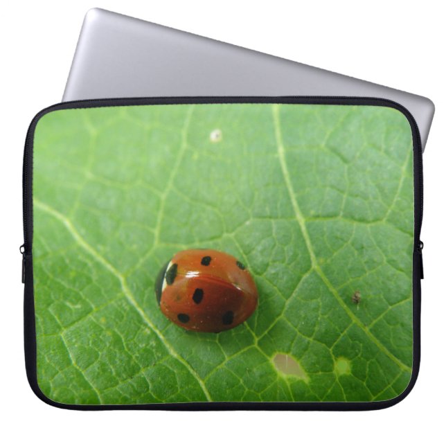 Capa Para Notebook Laptop Ladybug (Frente)