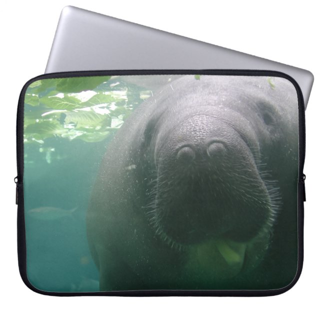 Capa Para Notebook Laptop superficial do peixe-boi (Frente)
