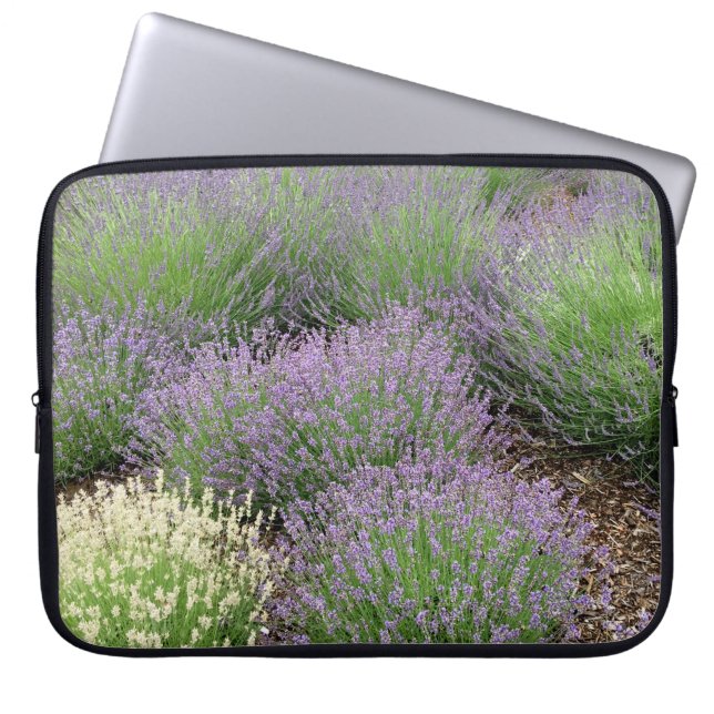 Capa Para Notebook Lavanda adorável (Frente)