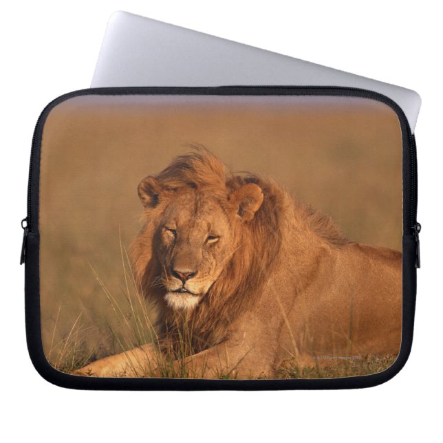 Capa Para Notebook Leão 8 (Frente)