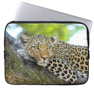 Capa Para Notebook Leopardo descansando em uma árvore