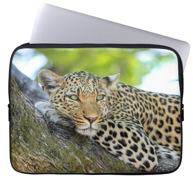 Capa Para Notebook Leopardo descansando em uma árvore (Frente)