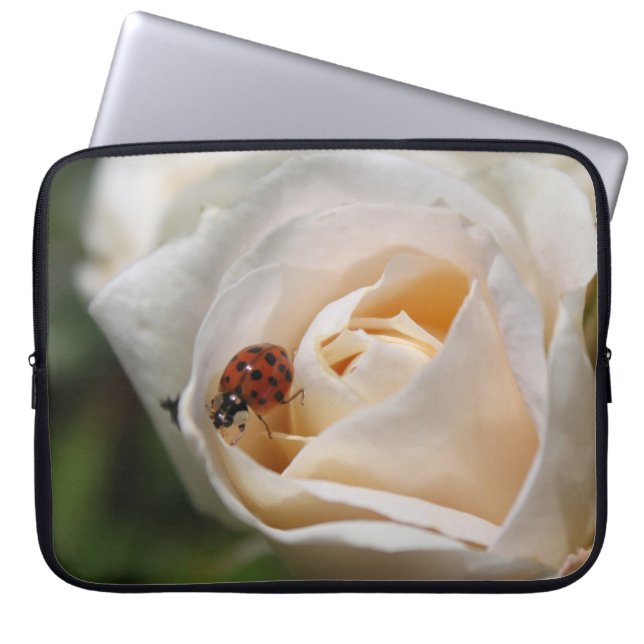 Capa Para Notebook Linda flor branca de rosa e joaninha (Frente)