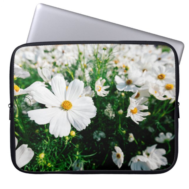 Capa Para Notebook Lindas flores brancas do cosmos florescendo em jar (Frente)