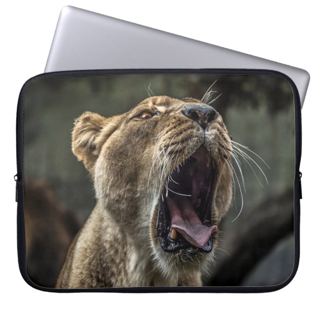 CAPA PARA NOTEBOOK LIONESS YAWNING (Frente)
