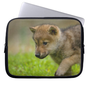 Capa Para Notebook Lobo do bebê