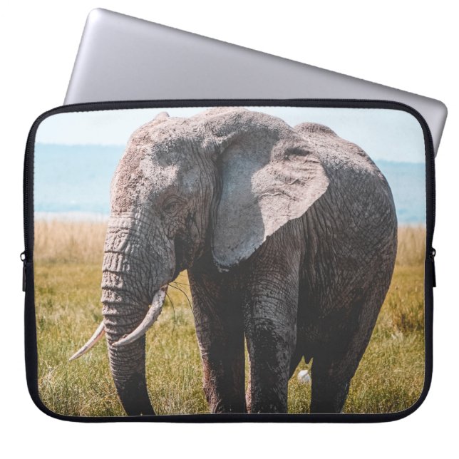 CAPA PARA NOTEBOOK LOVELMENTE ELEFHANT (Frente)