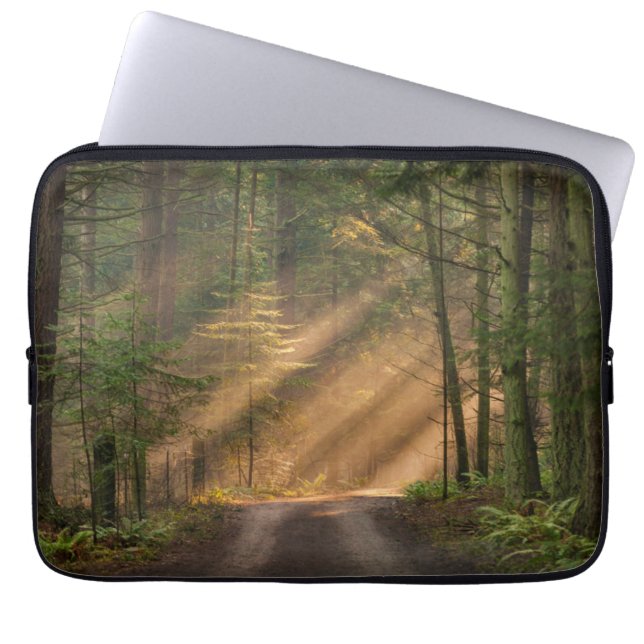 Capa Para Notebook Luz solar que brilha através de uma floresta (Frente)
