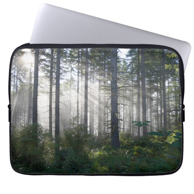 Capa Para Notebook Luz solar que quebra através de uma floresta (Frente)