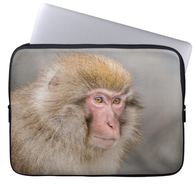 Capa Para Notebook Macaco Majestoso da Neve: Fotografia Japonesa (Frente)