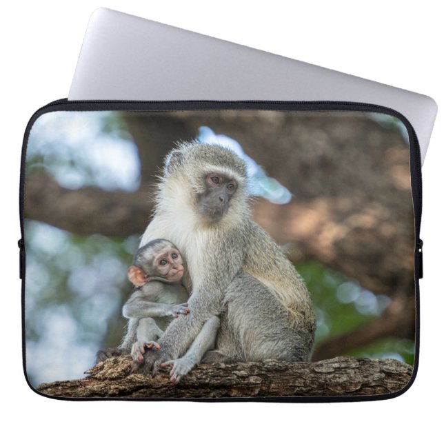 Capa Para Notebook Macaco Vervet na Vida Selvagem Africana (Frente)