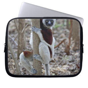 Capa Para Notebook Madagascar, Reserva Ankarafantsika; Ampijoroa;