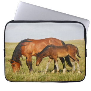 Capa Para Notebook Mãe de Cavalo Selvagem e Potro Pastando